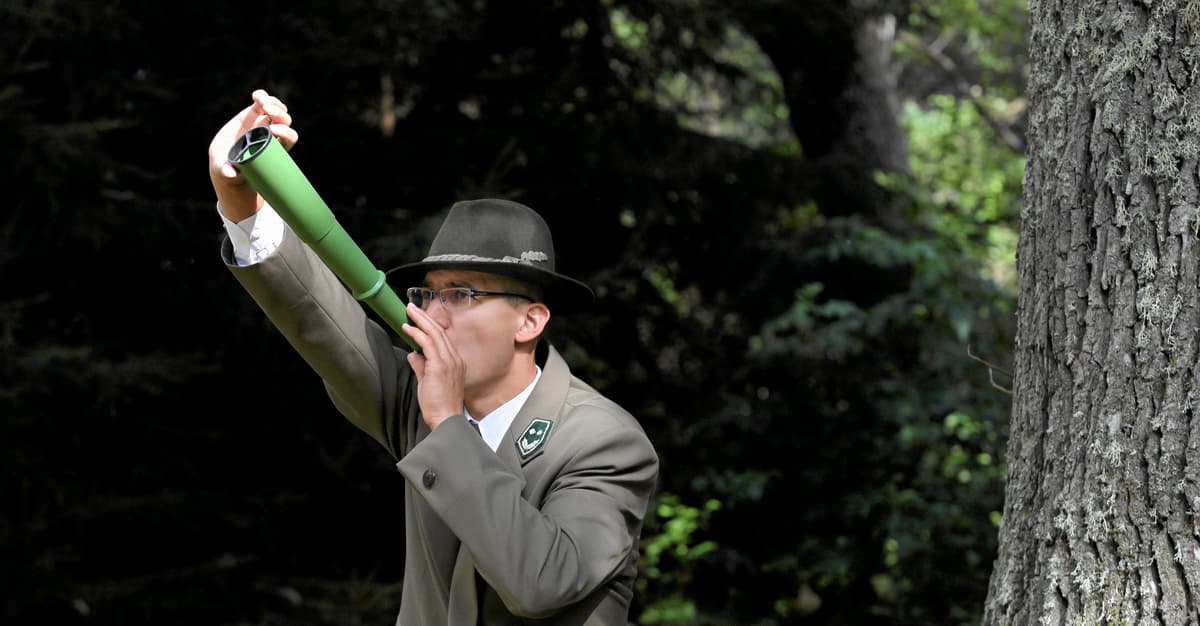 Puszcza Białowieska pod ochroną, jelenie pod lufami. Zakaz polowań tylko na papierze