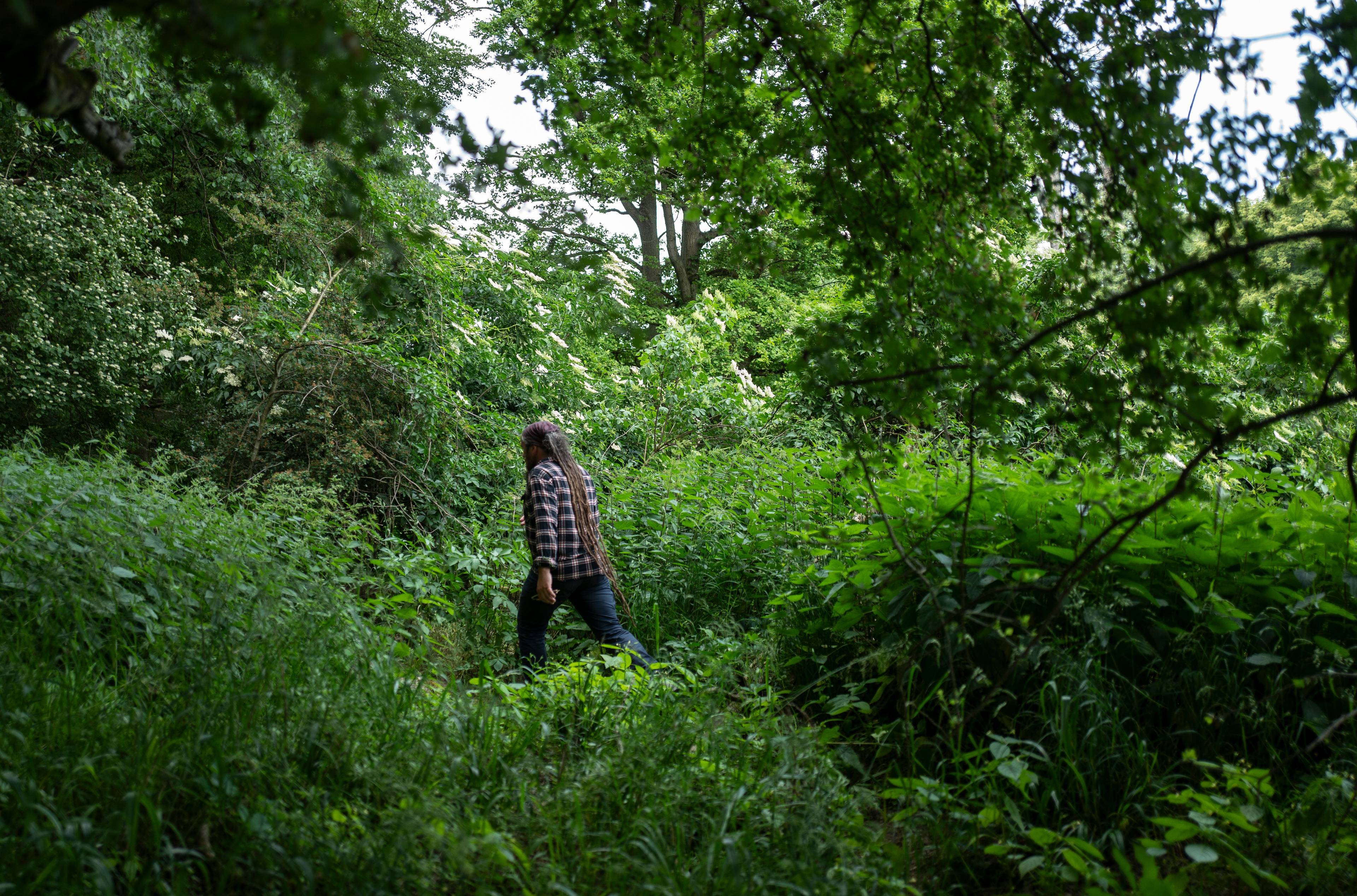 Człowiek w długich dredach i kraciastej koszuli idzie przez liściasty las  łęgowy