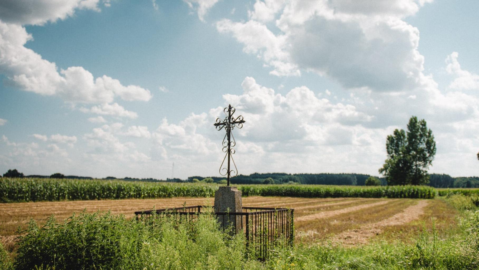 fot. Mikołaj Maluchnik/ OKO.press