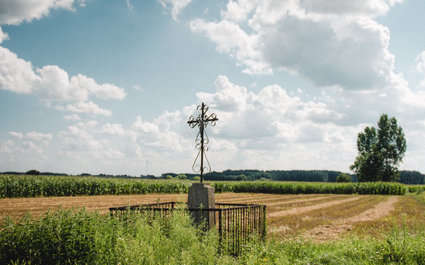 Grafika do artykułu Dlaczego Podlasie się nie szczepi?