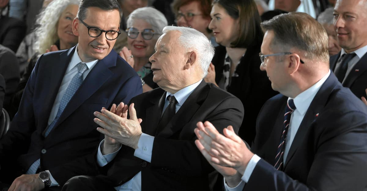 Morawiecki chce zostać „polskim Magyarem” na wspak. I rozpycha się w PiS