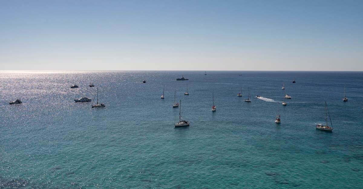 Polacy z pokojowej flotylli odmówili deportacji z Izraela, staną przed sądem