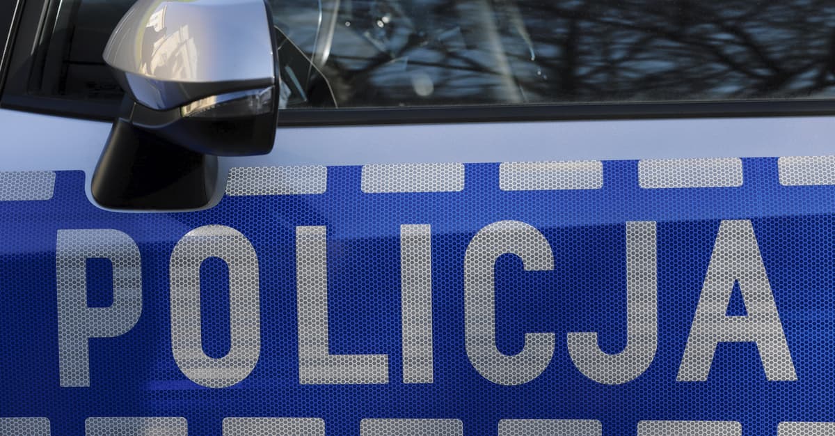 Podejrzany obiekt w lesie na Lubelszczyźnie. Służby: to może być dron