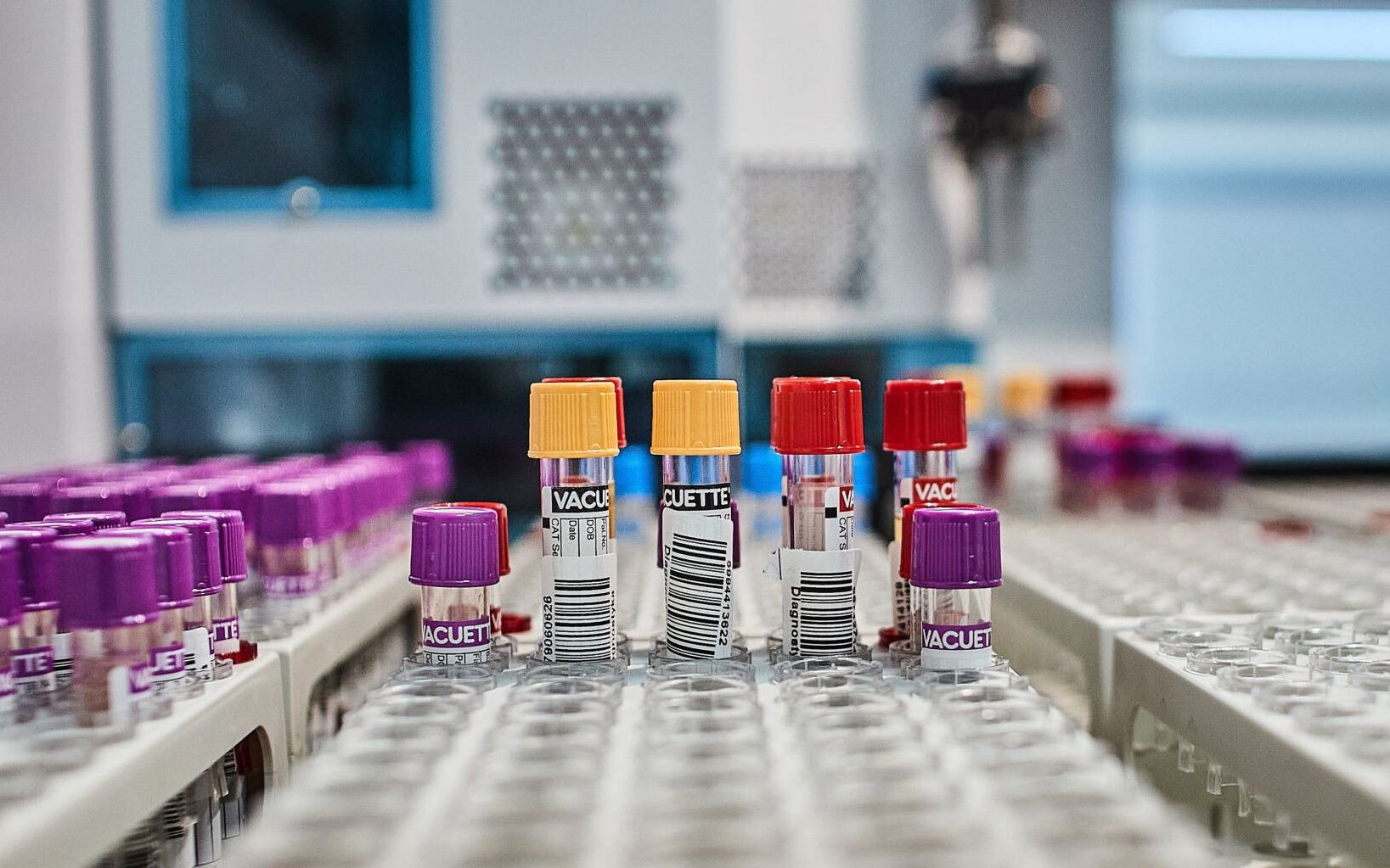18.05.2020 Lodz . Laboratorium diagnostyki laboratoryjnej oraz COVID19 firmy Salve przy ulicy Szparagowej . Laboratorium prowadzi testy wykrywajace wirus covid19 .
Fot. Tomasz Stanczak / Agencja Gazeta