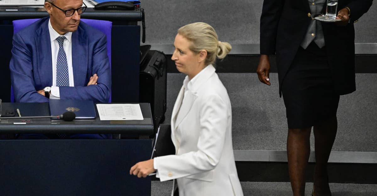 Kanclerz Niemiec oskarża AfD o politykę „czystek etnicznych”. I odwołuje telefon z Trumpem