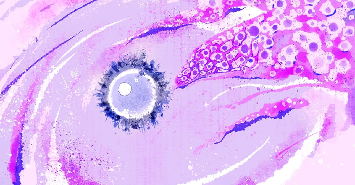 Dzieci z komórek skóry. Czy to możliwe?