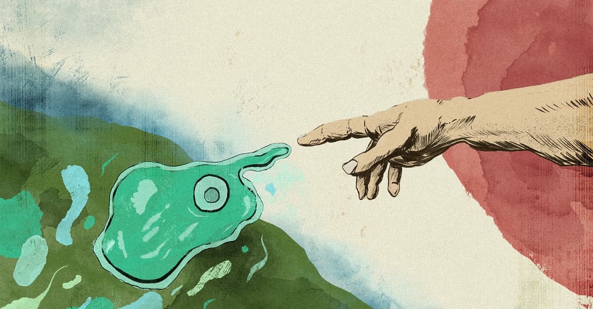 SpudCell, czyli Kartoflomórka. Co stworzyła Polka w laboratorium i czy to już sztuczne życie?