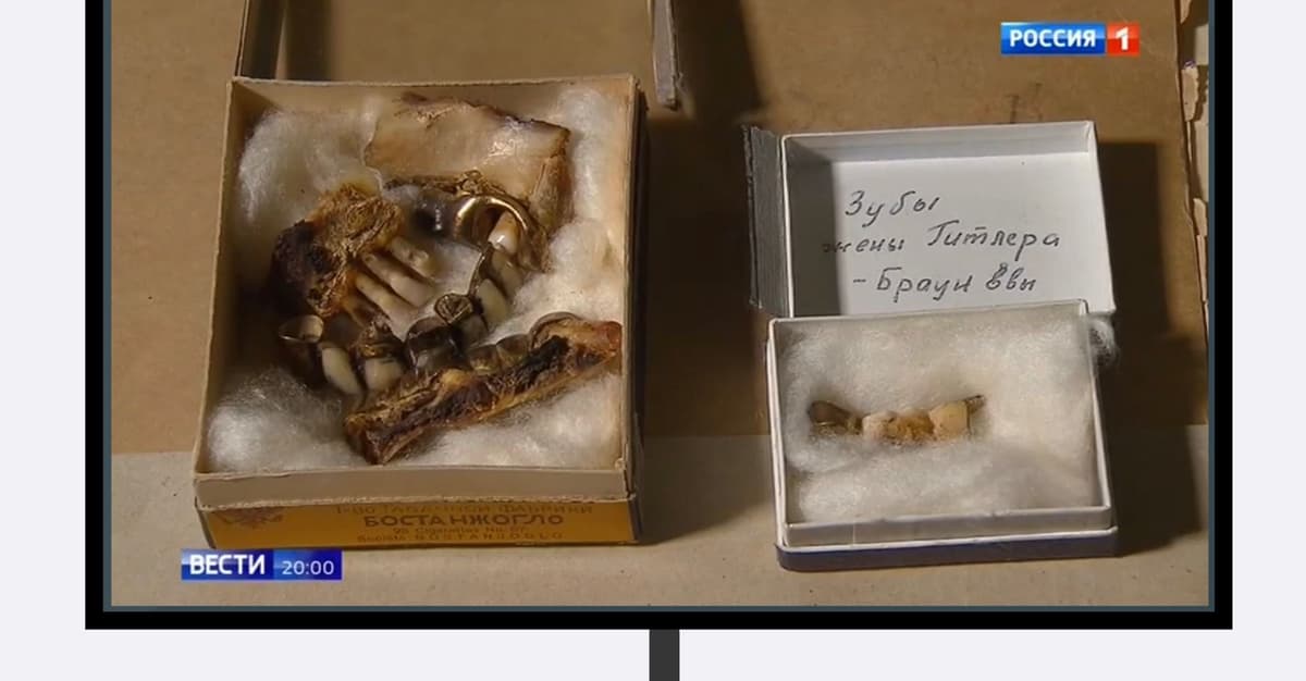 Szczęka Hitlera. Jak mit II wojny światowej przejął kontrolę nad Putinem [GOWORIT MOSKWA]