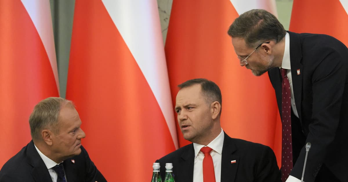 List sprzeciwu polskich kobiet: nie macie prawa stawiać warunków uciekającym przed wojną