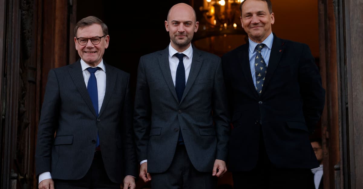 Ministrowie Trójkąta Weimarskiego: „Plan Putina się nie powiódł”