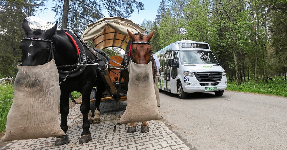 Turyści w majówkę wybrali konie. Eksperyment z busami nad Morskie Oko był zaplanowaną klęską?