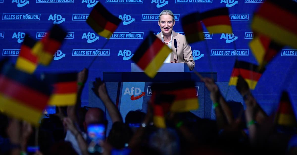 Liderka AfD: „Zamkniemy granice, wyjdziemy z Schengen”