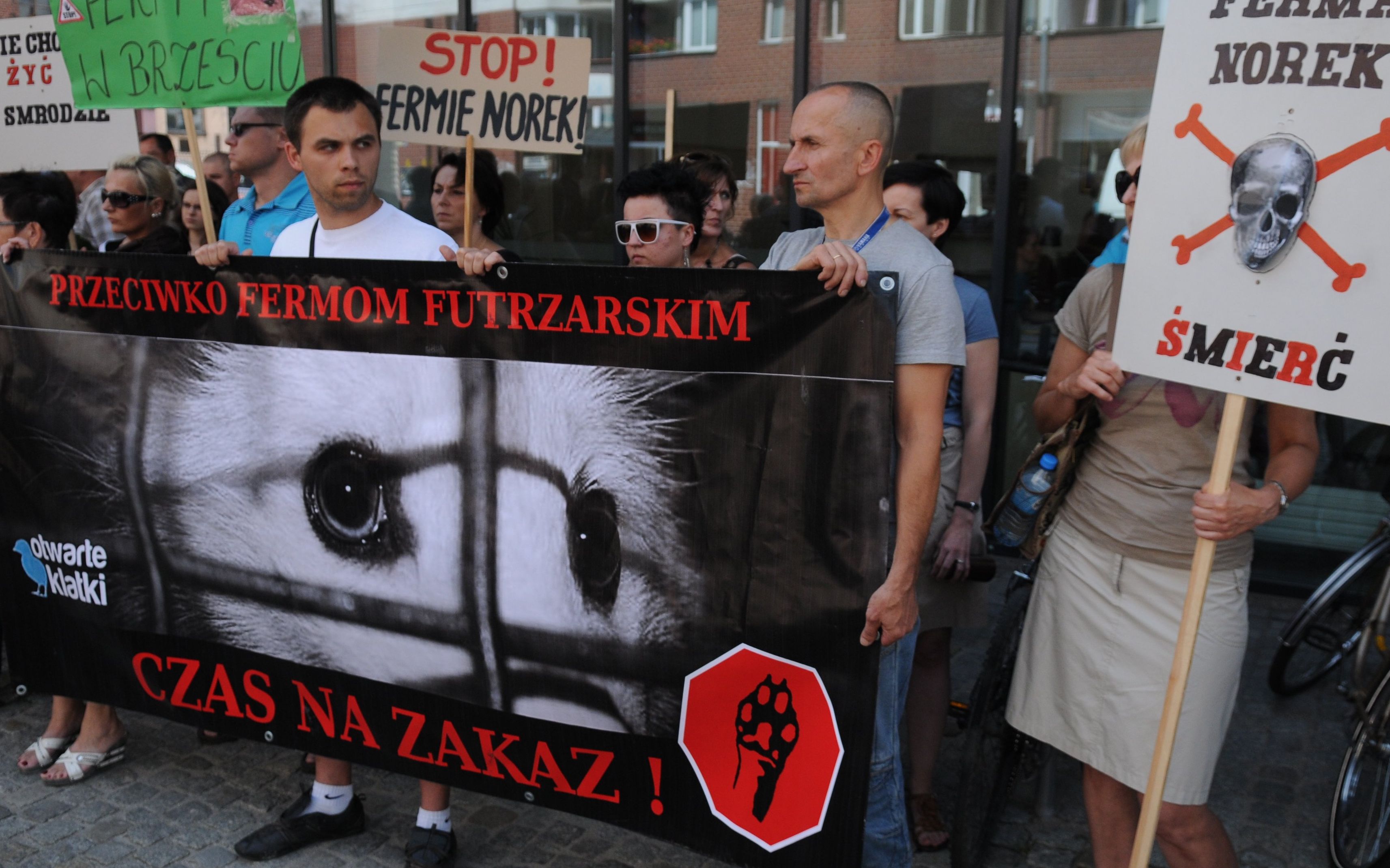 10.07.2013 Wroclaw . Siedziba Starostwa Powiatowego przy ulicy Kosciuszki 131 , protest przeciwko fermie norek w Zorawinie .
Fot. Tomasz Szambelan / Agencja Gazeta