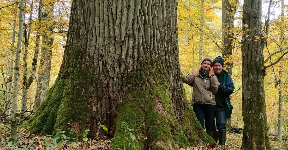 „Każdy fragment Puszczy ma swoją historię”. Opowieść kustosza białowieskich drzew