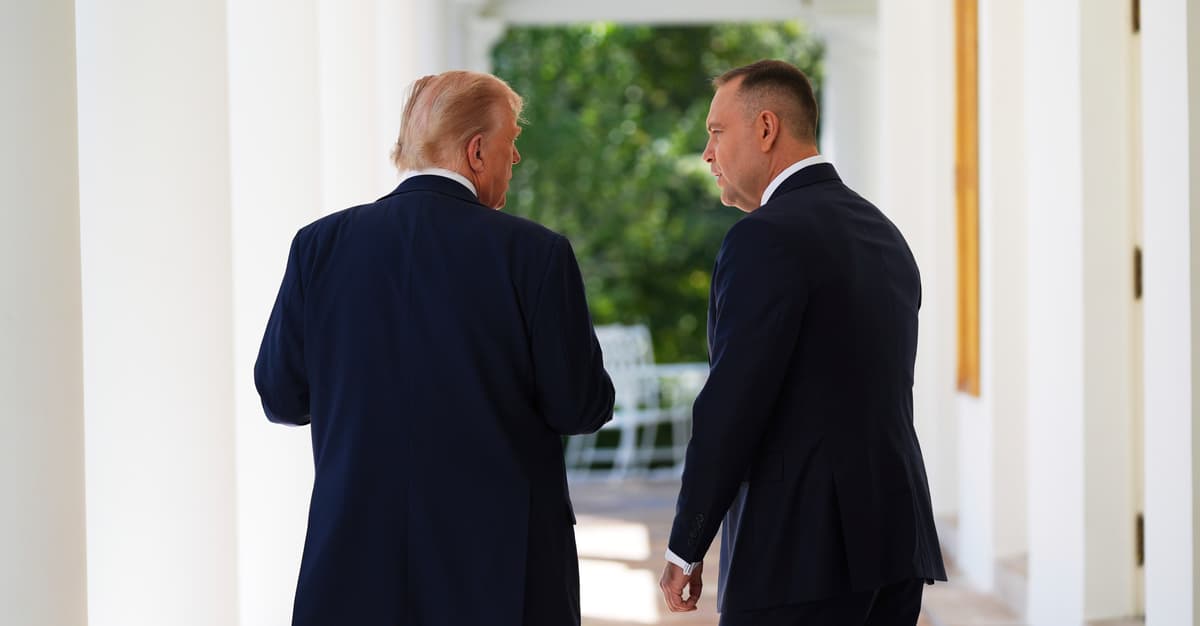 Навроцки на коленях перед Трампом, Косиняк-Камыш на одном колене. Урок Мелони для Таска