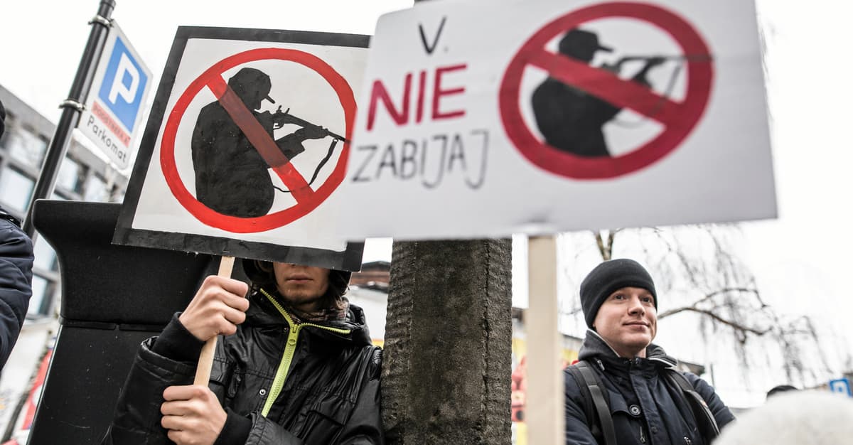 Areszt dla myśliwego za zastrzelenie mężczyzny