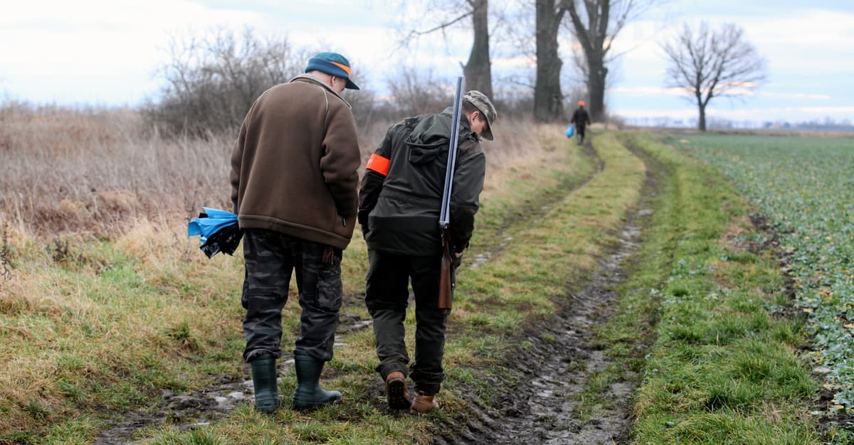 Od 30 lat nie znalazł się odważny rząd, który załatałby dziury w prawie łowieckim [ROZMOWA]