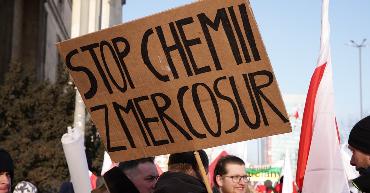 Mercosur bez strachu. Skąd naprawdę biorą się obawy polskiej wsi?