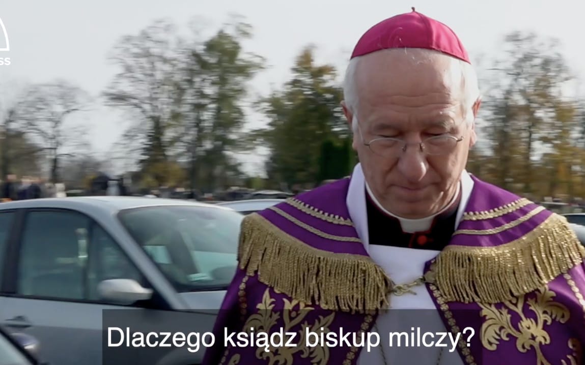 Grafika do artykułu Dziuba, Orszulik, Nycz i inni. Siedmiu biskupów, którzy tuszowali przypadki pedofilii. Śledztwa OKO.press