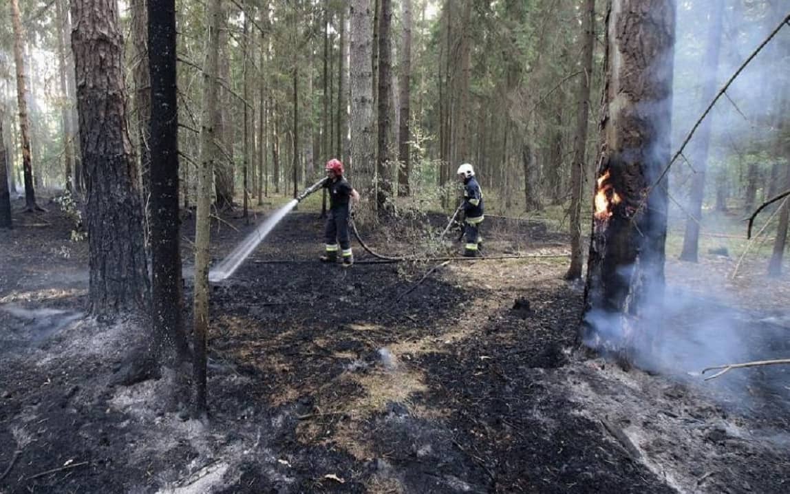 Grafika do artykułu Pożar w Puszczy Białowieskiej. Lasy winią ekologów, ekolodzy odbijają piłkę: "Puszcza wysycha"