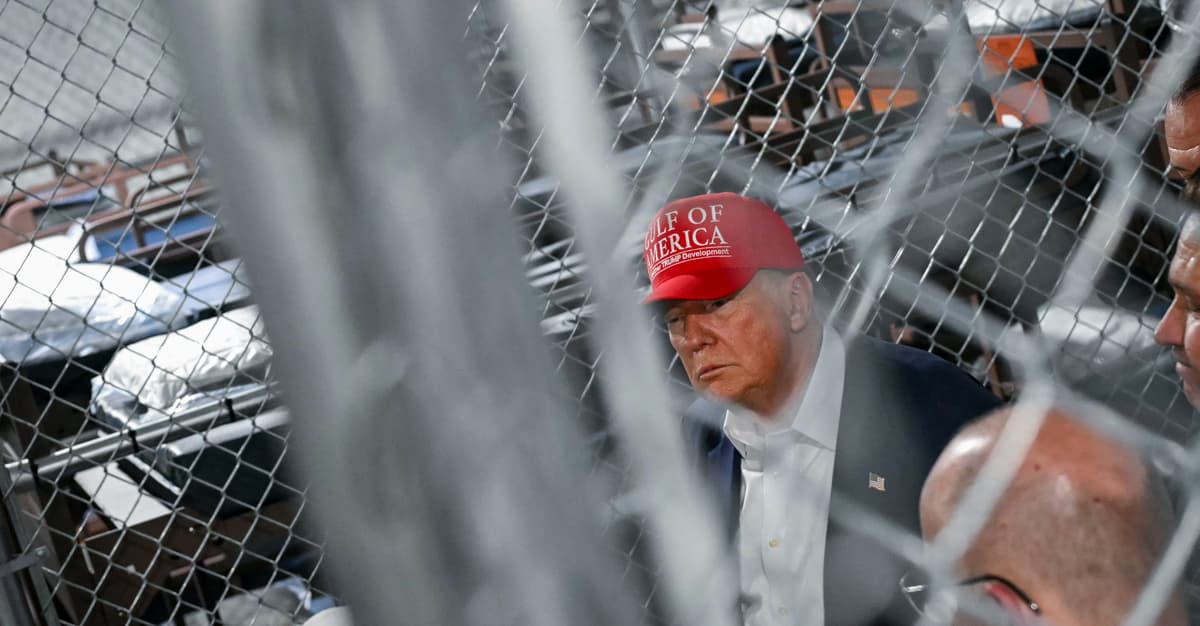 «Хорошие мигранты из Южной Африки», или как Трамп делает жертвой привилегированного, но напуганного большинства