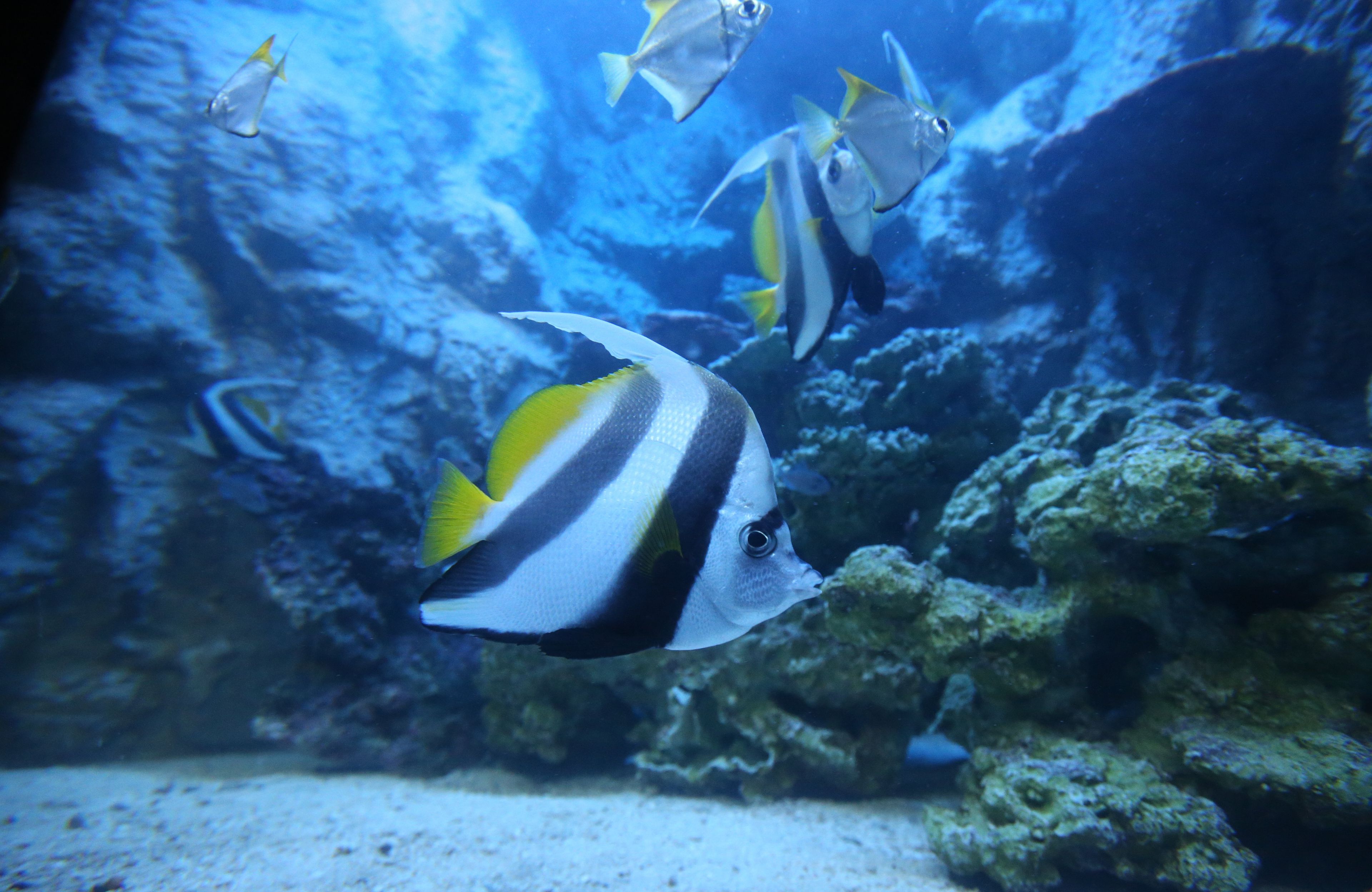 20.07.2019 Miedzyzdroje , Oceanarium . 
Fot. Cezary Aszkielowicz / Agencja Wyborcza.pl
