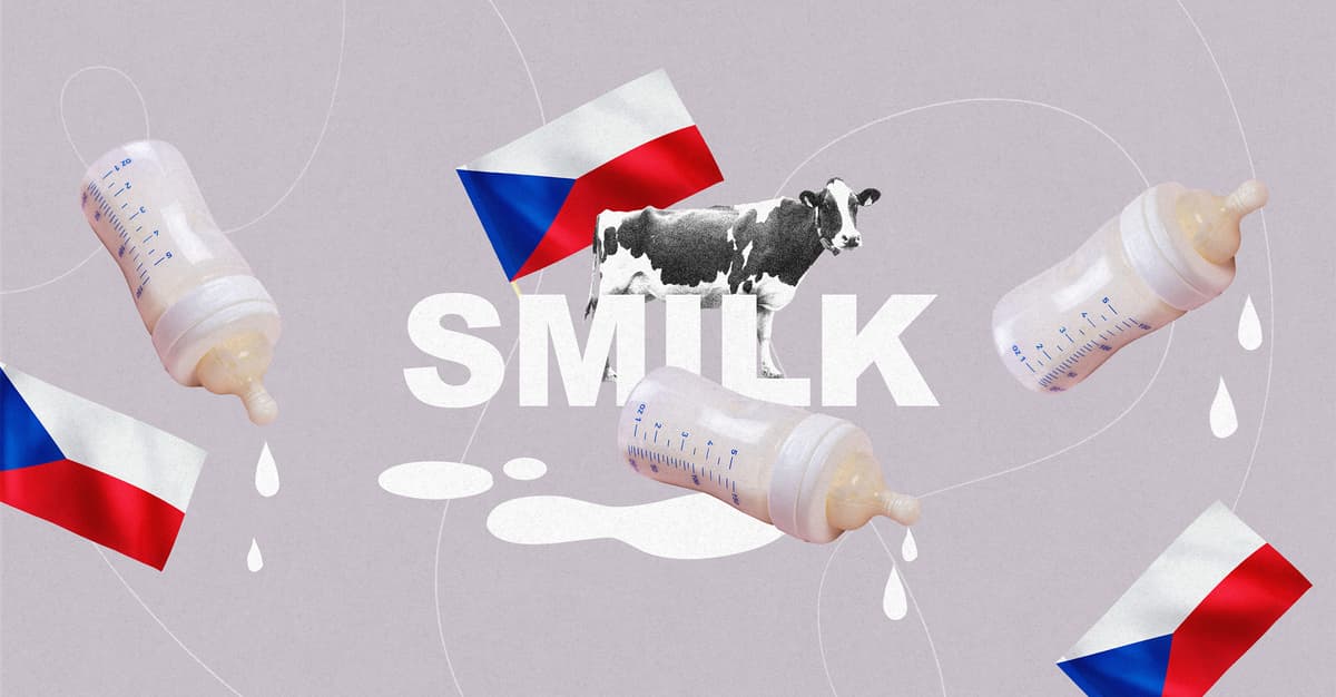 Czechy, Konfederacja i rodzinne układy. Kto tak naprawdę stoi za Smilkiem?