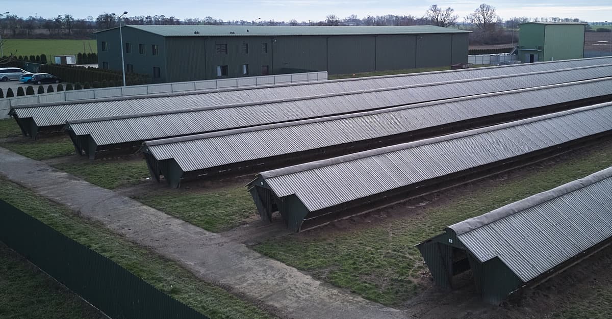 Lex Smród jeszcze nie weszło w życie, ale mieszkańcy wsi już tracą głos