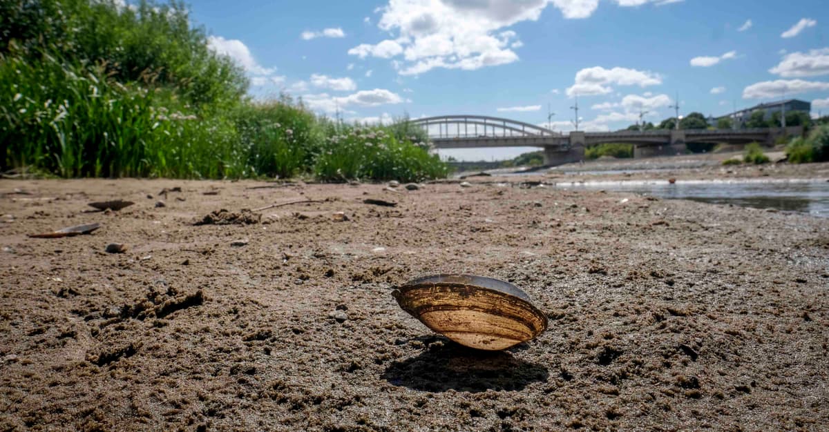 Europa nagrzewa się na najszybciej. Nowy raport