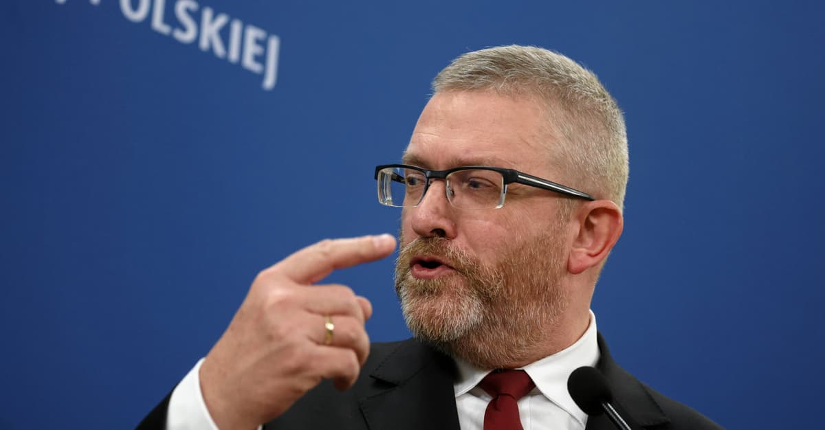 Świat według Brauna. Dlaczego ponad milion Polaków poparło polityka skrajnej prawicy? [Widzę to tak]
