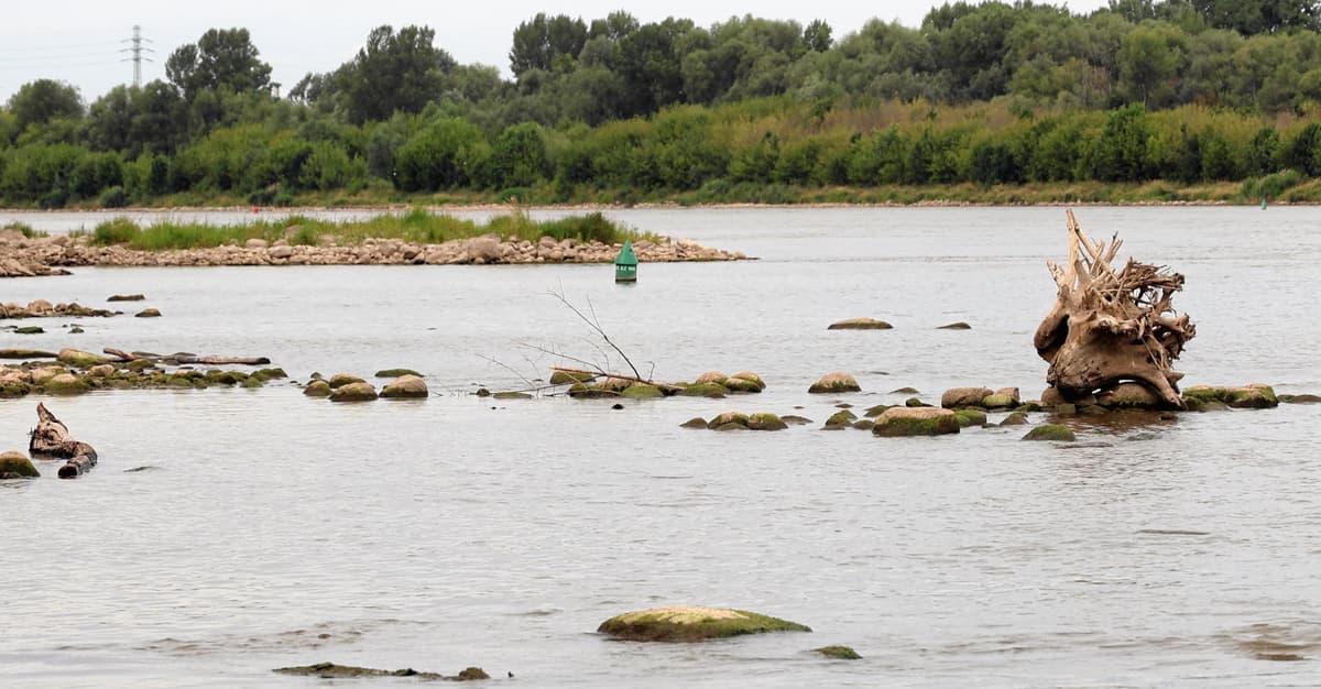 „Sytuacja o tej porze roku nigdy nie wyglądała tak źle”. Rzeki w Polsce wysychają na potęgę