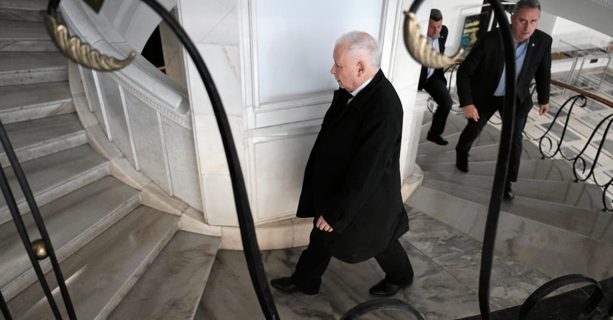 Afera wokół działki pod CPK. PiS zawiesza dwóch posłów