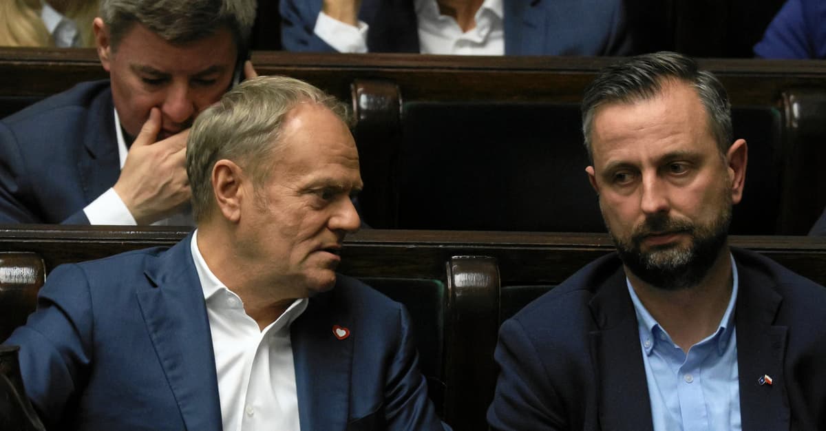 Co powie Tusk, gdy obejmą rządy Mentzen z Braunem i dla bezpieczeństwa wezmą nas za twarz? [WŁADZA]