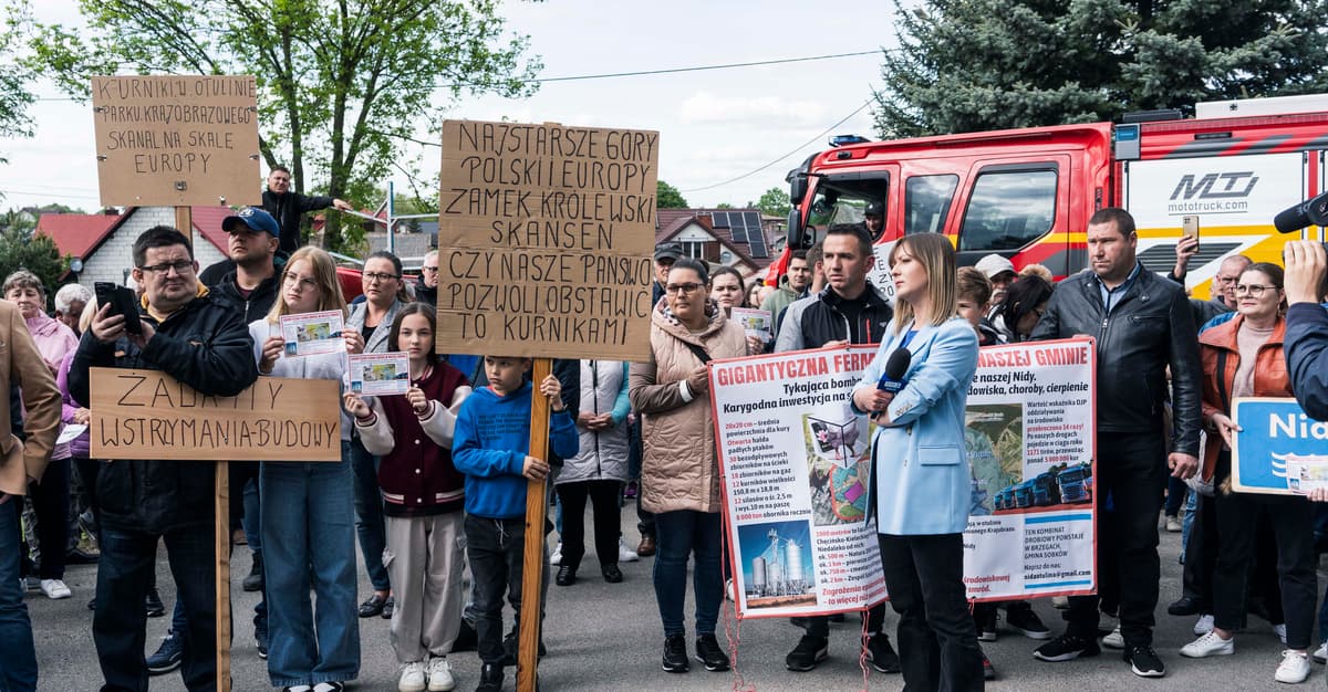 5 milionów kur w Dolinie Nidy. „Turyści przestaną przyjeżdżać. Po co? Podziwiać kurniki?”