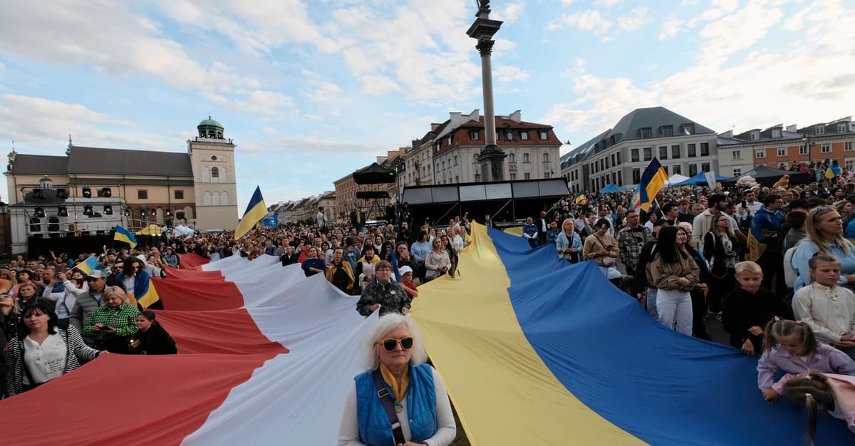 Fake newsy rozpowszechniane przez fałszywe pseudoukraińskie konta. Apel do ministra Żurka