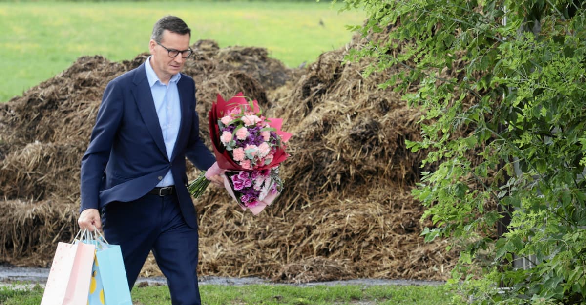 Nowy Morawiecki rozlicza starego Morawieckiego, żeby podejść pod kurnik Tuska