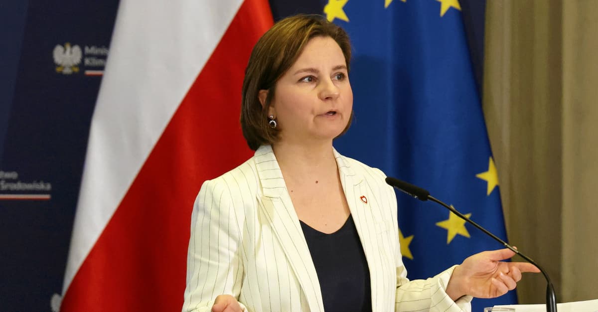 “Nie mamy już czasu”. Wiceministra Zielińska zapowiada nową strategię klimatyczną