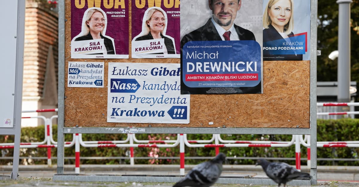 Sondaż dla Krakowa: Gibała zwiększa poparcie