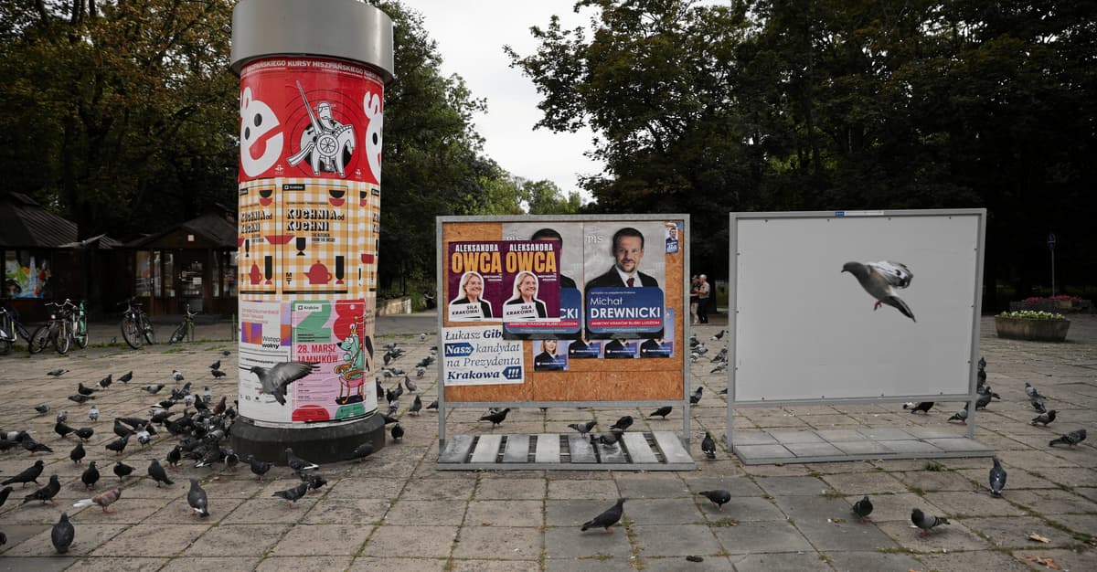 Ostatni sondaż przed ciszą wyborczą. Gibała traci