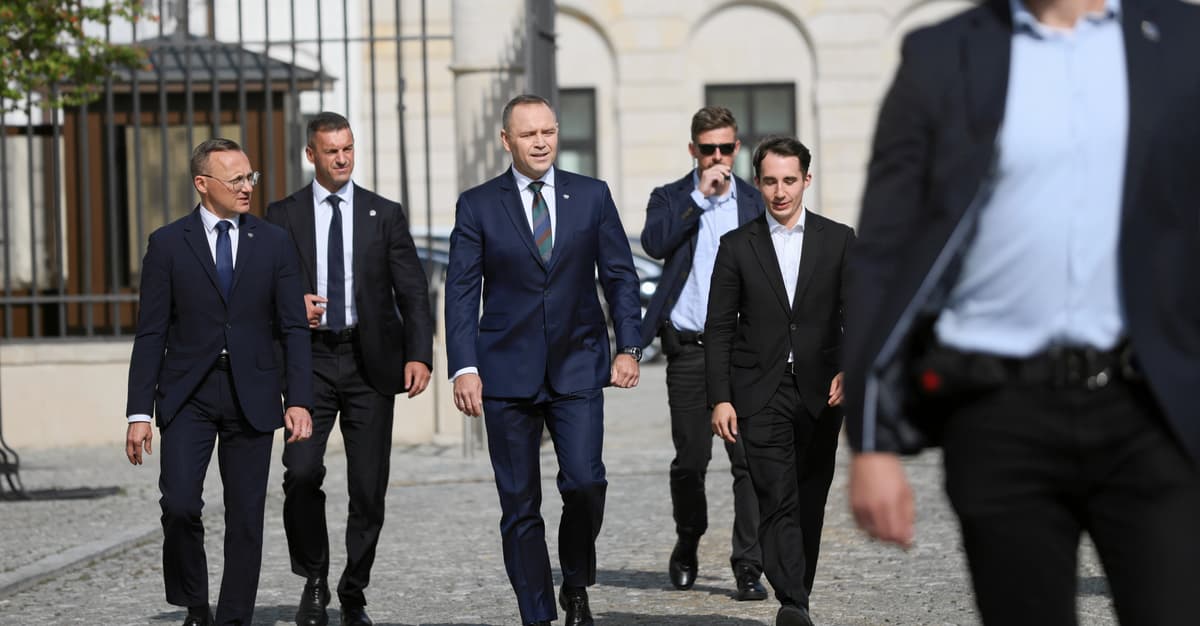 Co liderzy PSL, Konfederacji, Morawiecki, Hołownia i Razem zaproponowali prezydentowi