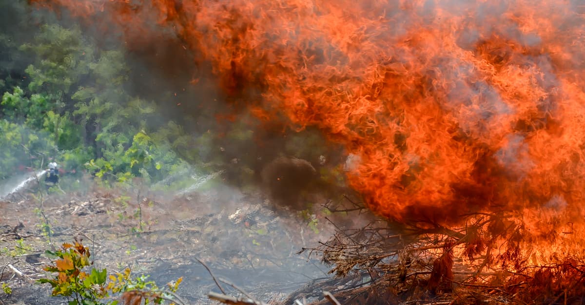 Rok w klimacie. Na plus – odnawialne źródła i atom. Na minus – Trump i postępujące ocieplenie