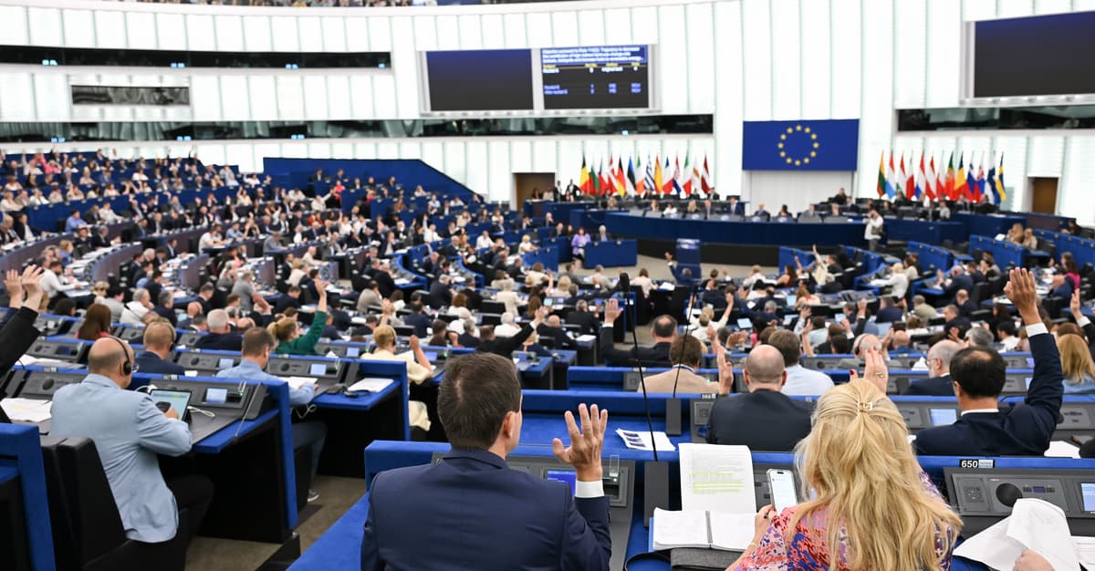 EP: 'Ukraine's commemoration of the UPA is detrimental to good neighbourly relations'