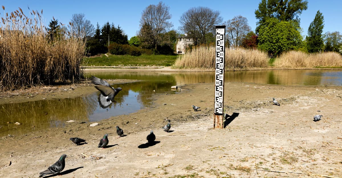 Susza i zagrożenie pożarami. Przed majówką ostrzeżenia w wielu regionach