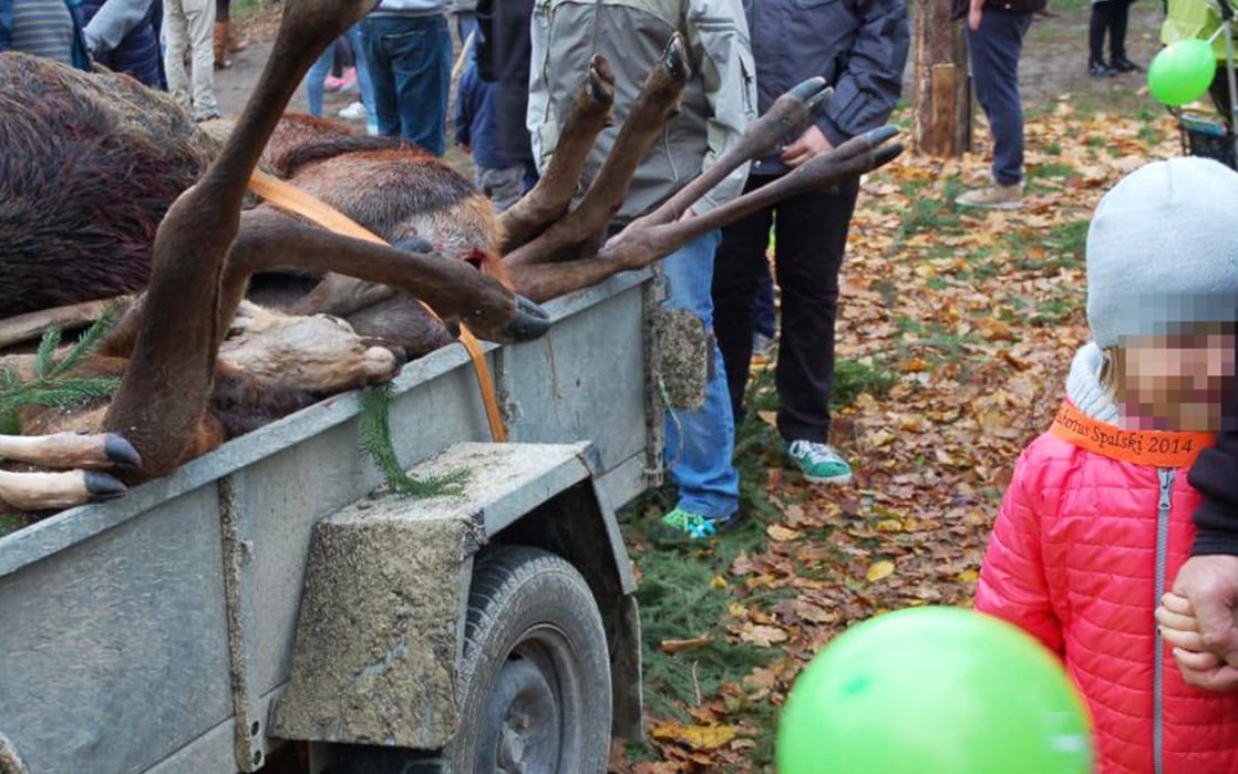 Grafika do artykułu Rzeczpospolita myśliwska chce dzieci na polowaniach. W Sejmie za projektem PiS i część opozycji