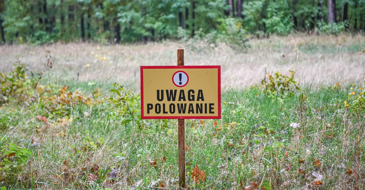 Panika myśliwych to znak, iż czas na reformę łowiectwa [WIDZĘ TO TAK]