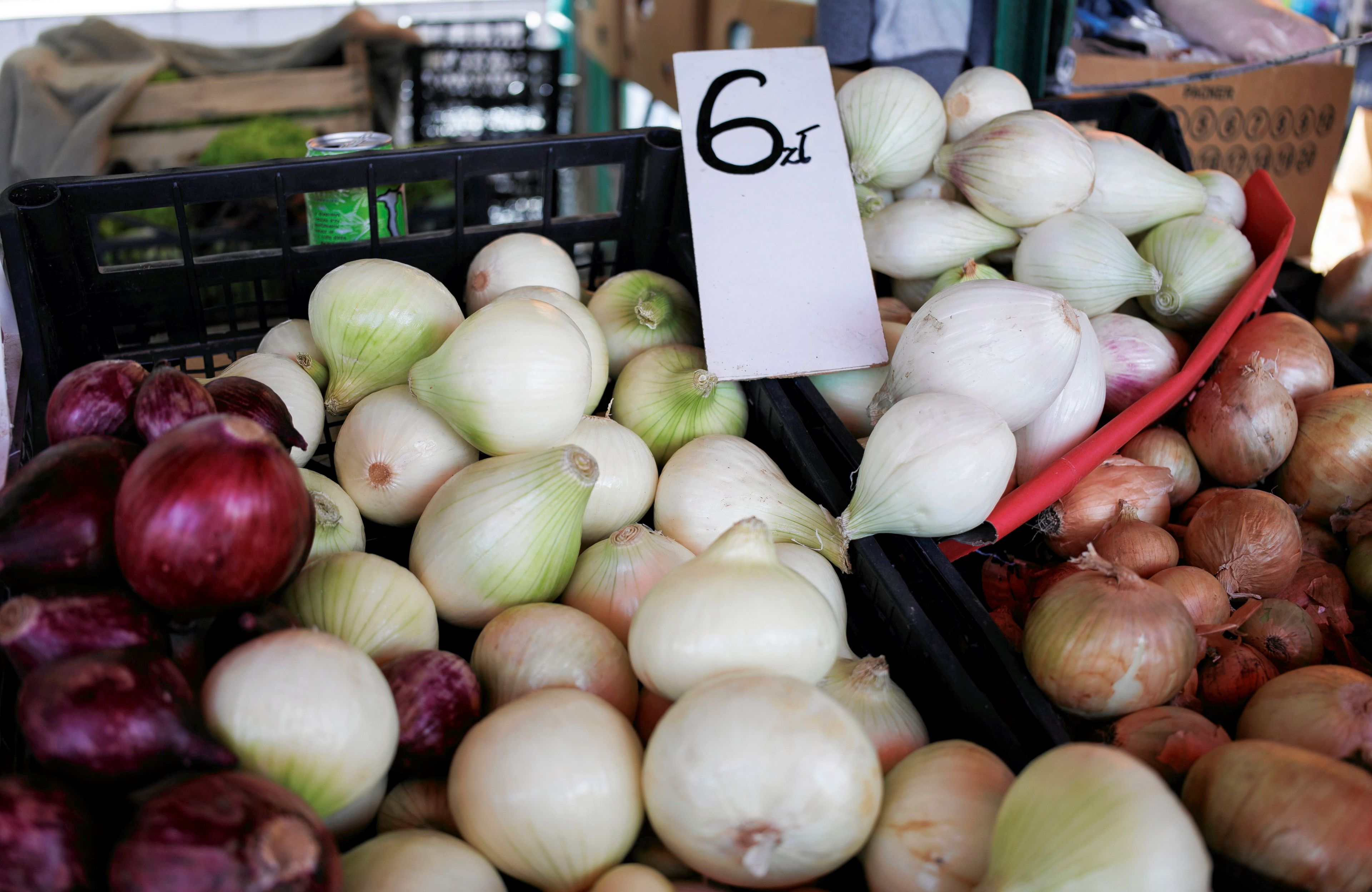 Cebula na targu, cena: 6 zł za kilogram