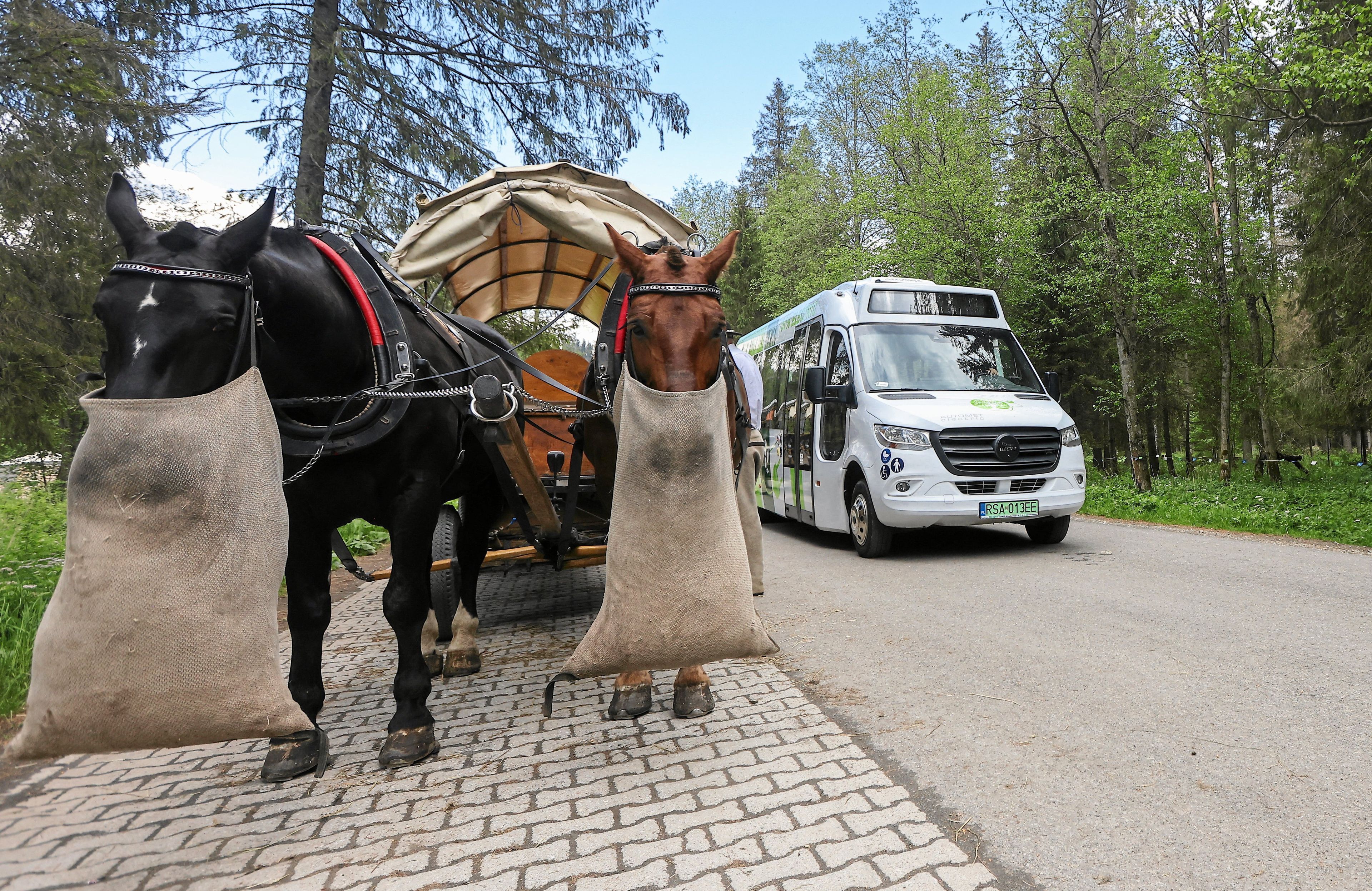 Testy eletrycznego busa na drodze do Morskiego Oka