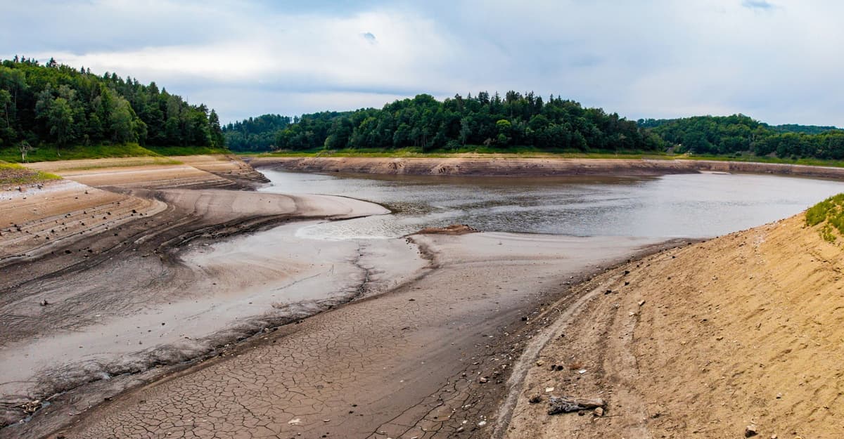 Tysiące martwych ryb w Dolinie Bobru. RDOŚ zawiadamia prokuraturę