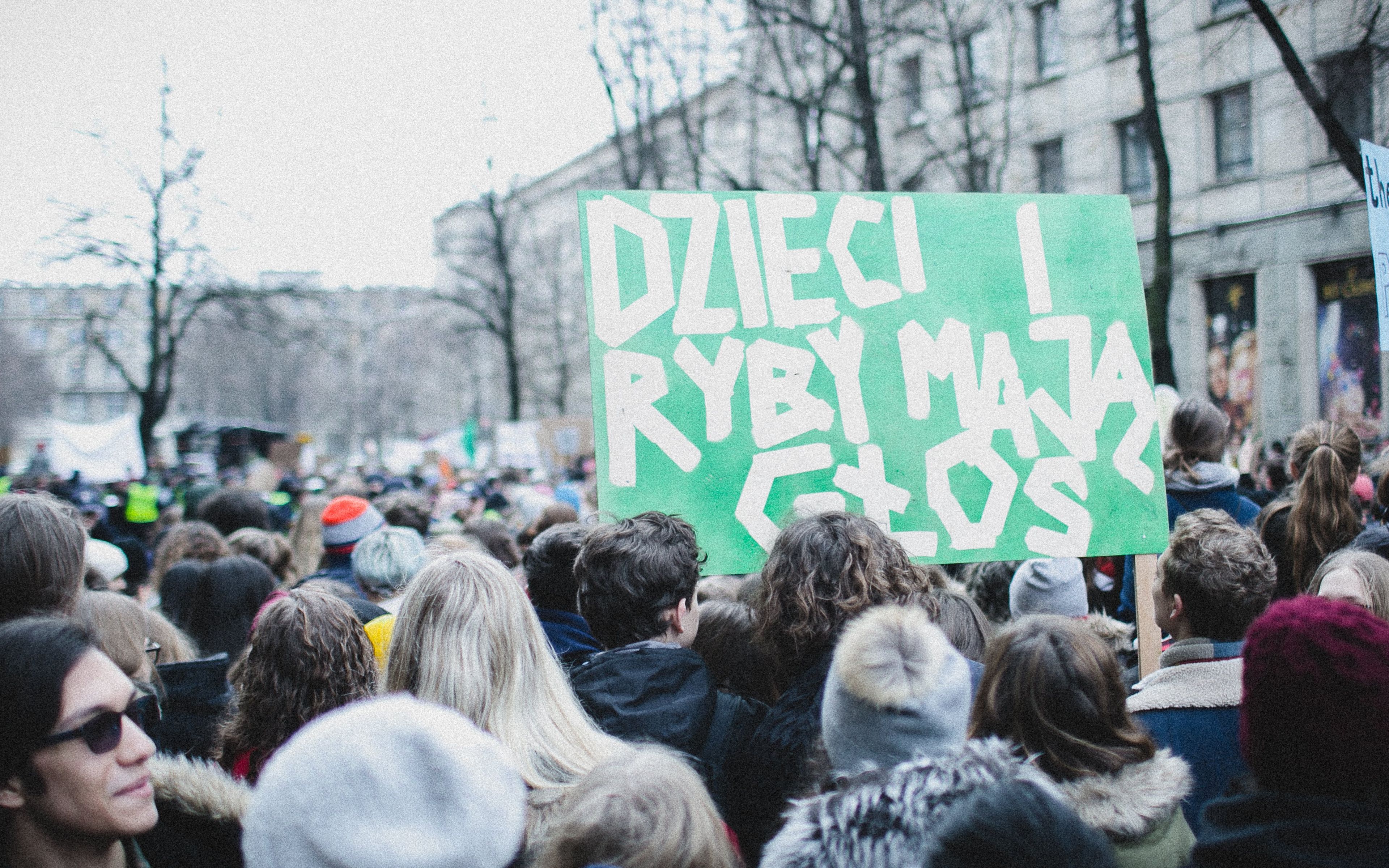 Grafika do artykułu 16-latek ze Strajku Klimatycznego trafi przed sąd. Bo przemawiał przez megafon