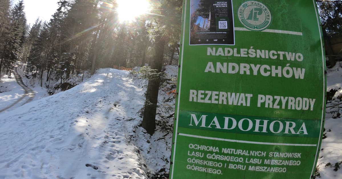 Tylko Lasy Państwowe były przeciwko. Rezerwat w Beskidzie Małym będzie powiększony do 400 ha